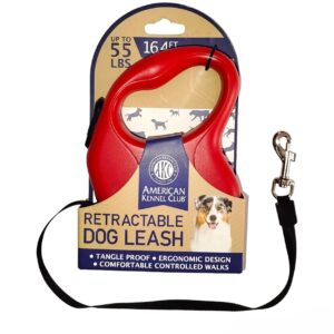 Correa Retractil American Kennel club