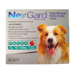 NexGard desparasitante para perro de 10 a 25 kg peso